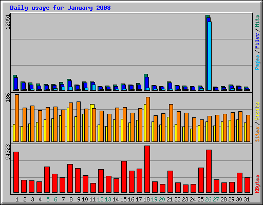 Daily usage for January 2008