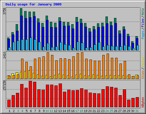 Daily usage for January 2009