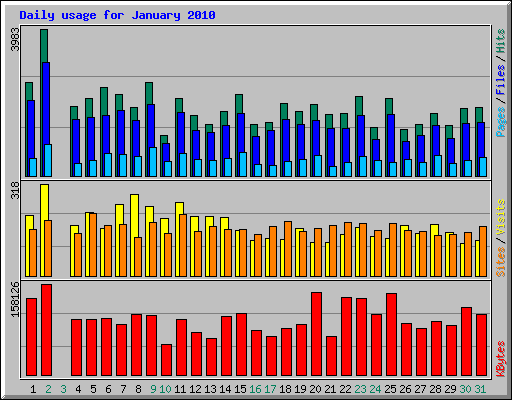 Daily usage for January 2010