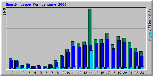 Hourly usage for January 2006