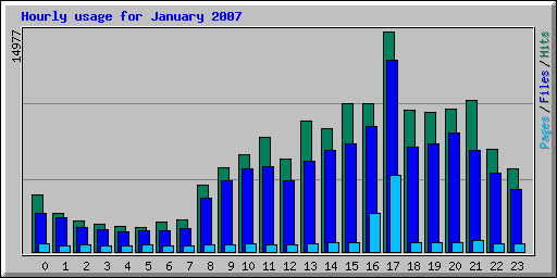 Hourly usage for January 2007