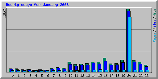 Hourly usage for January 2008