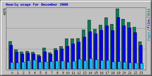 Hourly usage for December 2008