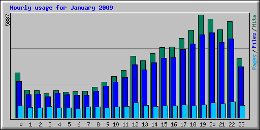 Hourly usage for January 2009