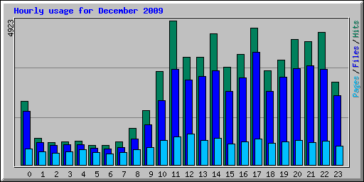 Hourly usage for December 2009