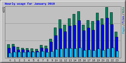 Hourly usage for January 2010