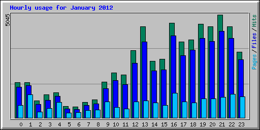 Hourly usage for January 2012